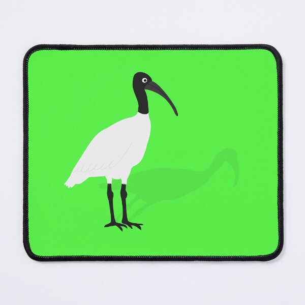 Item preview, Bin Chicken with its Shadow on Green designed and sold by Digitaldingo.