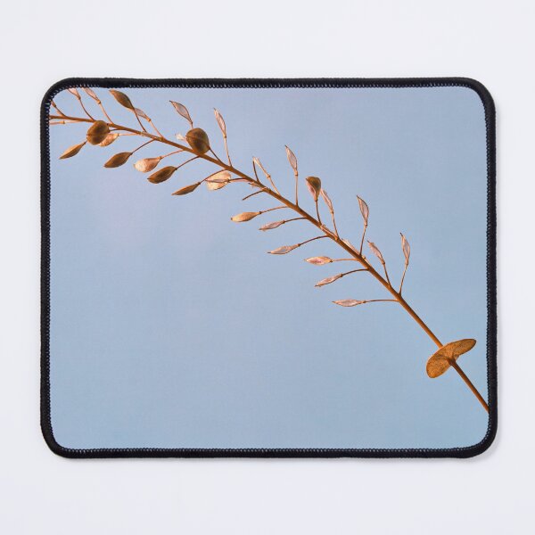 Item preview, sprig of grass designed and sold by IgorKovalenko.