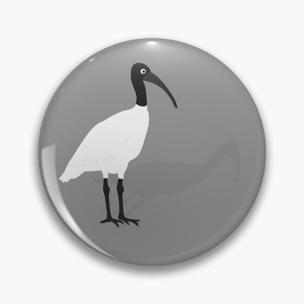 Item preview, Bin Chicken with its Shadow on Grey designed and sold by Digitaldingo.