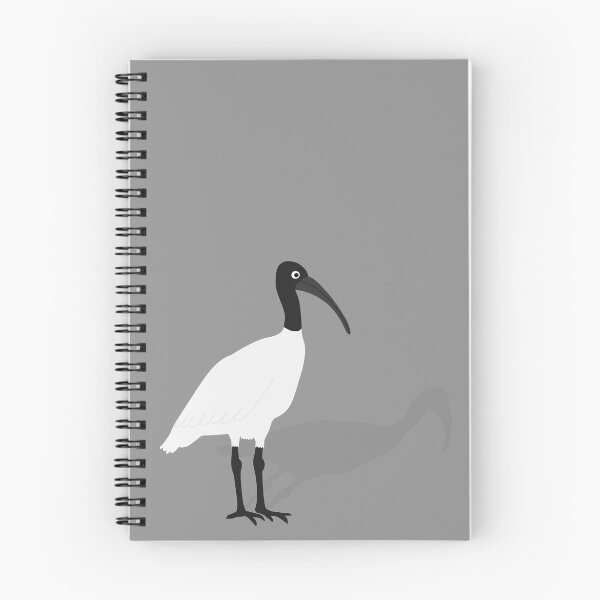 Item preview, Bin Chicken with its Shadow on Grey designed and sold by Digitaldingo.