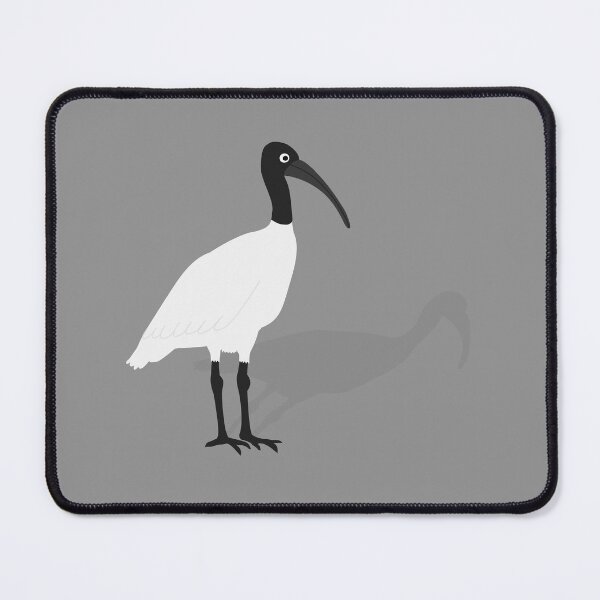 Item preview, Bin Chicken with its Shadow on Grey designed and sold by Digitaldingo.