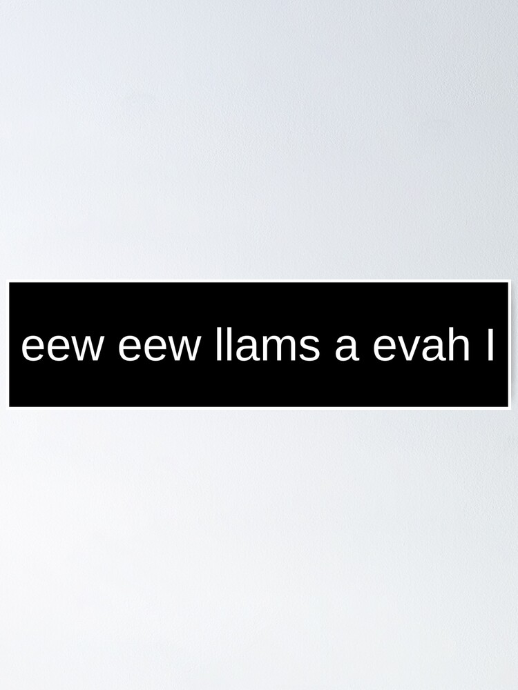 "eew eew llams a evah I but in black" Poster for Sale by Zero-Moon