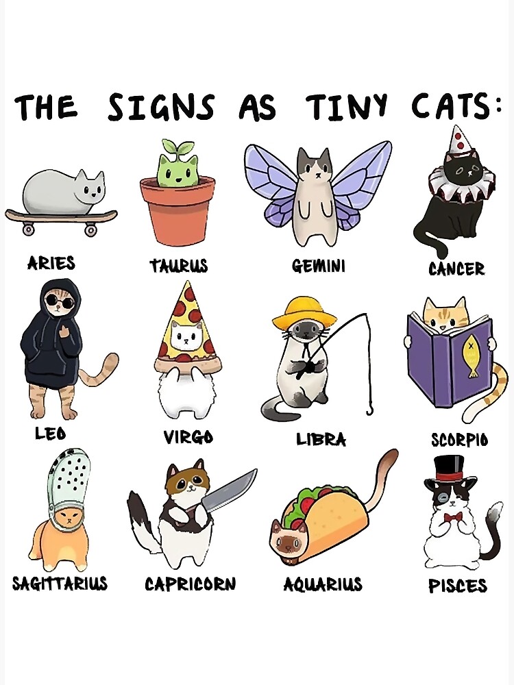 Zodiac The Sign As Tiny Cats