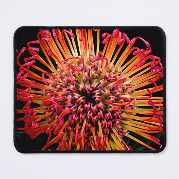 Item preview, leucospermum flower designed and sold by IgorKovalenko.