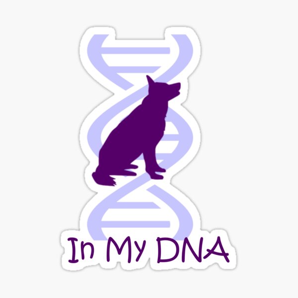 GSD DNA Sticker