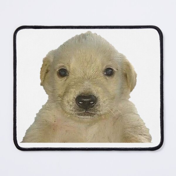 Item preview, meme dog designed and sold by DrawsByAle.