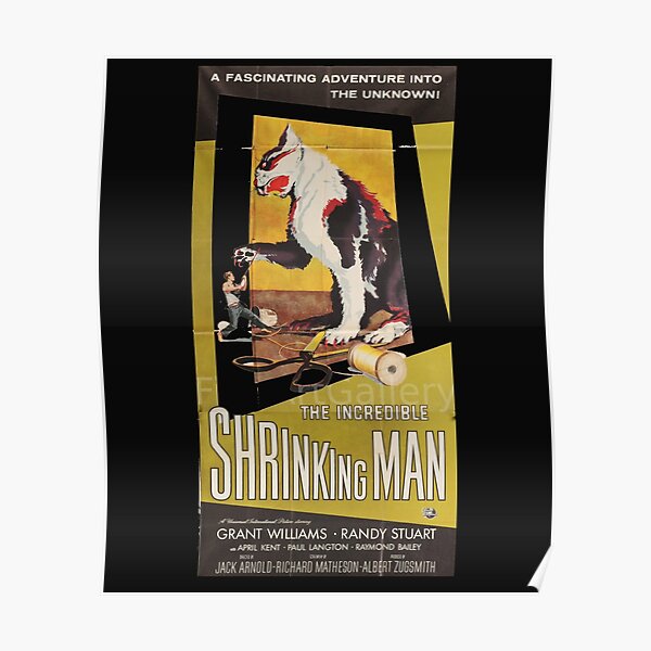 The Incredible Shrinking Man 50s Horror Scariest Movie Poster For