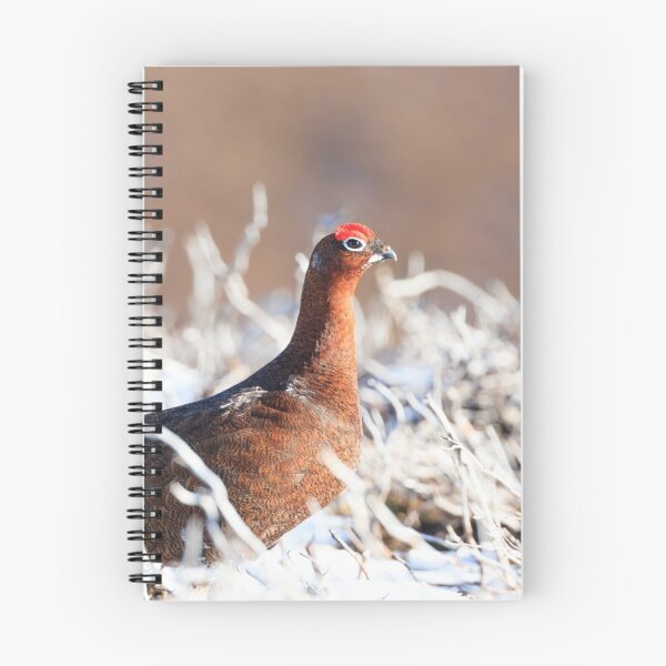 Item preview, Red Grouse designed and sold by chanonry.
