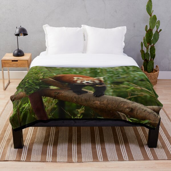 Item preview, Red Panda designed and sold by FocalSpot.
