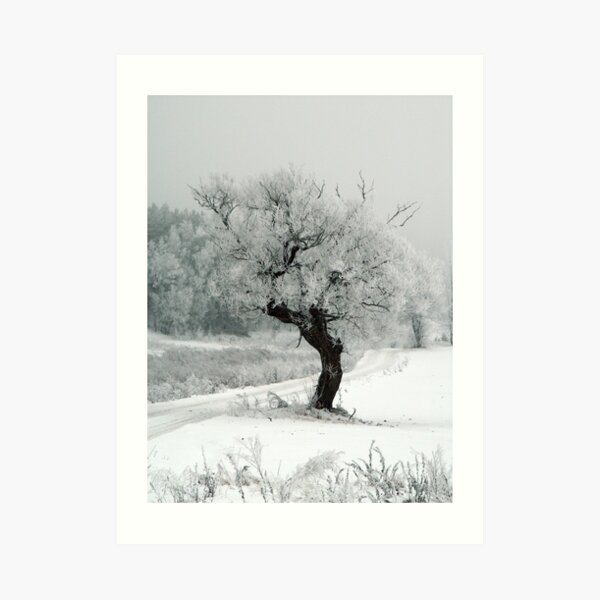 One day Art Print