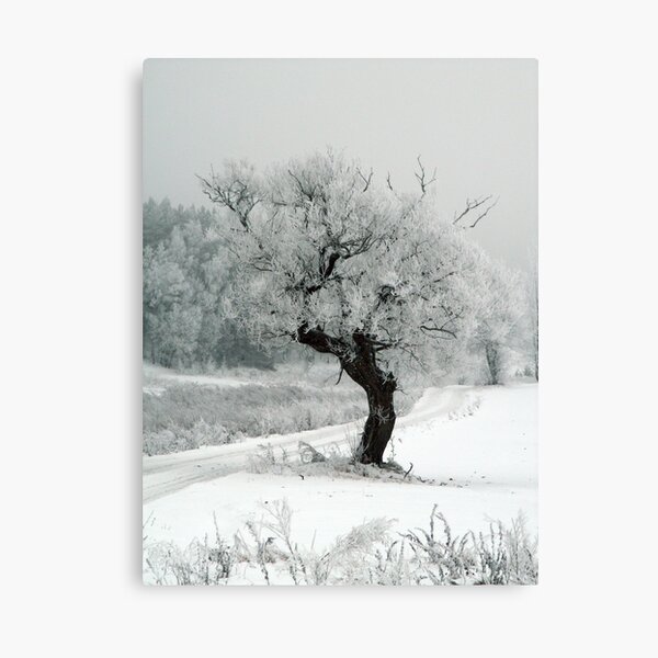 One day Canvas Print