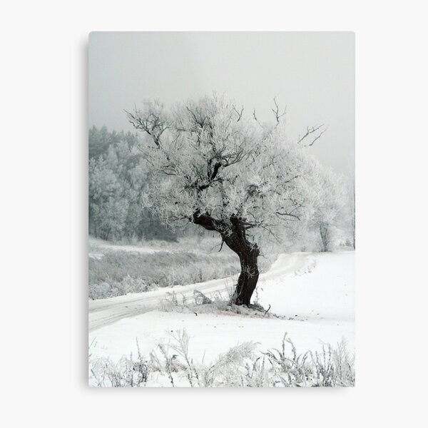 One day Metal Print