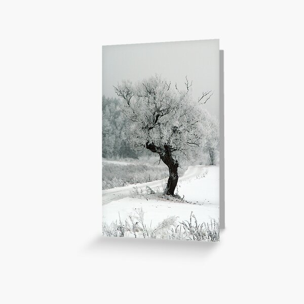 One day Greeting Card