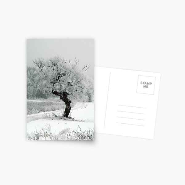 One day Postcard