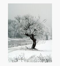 One day Photographic Print