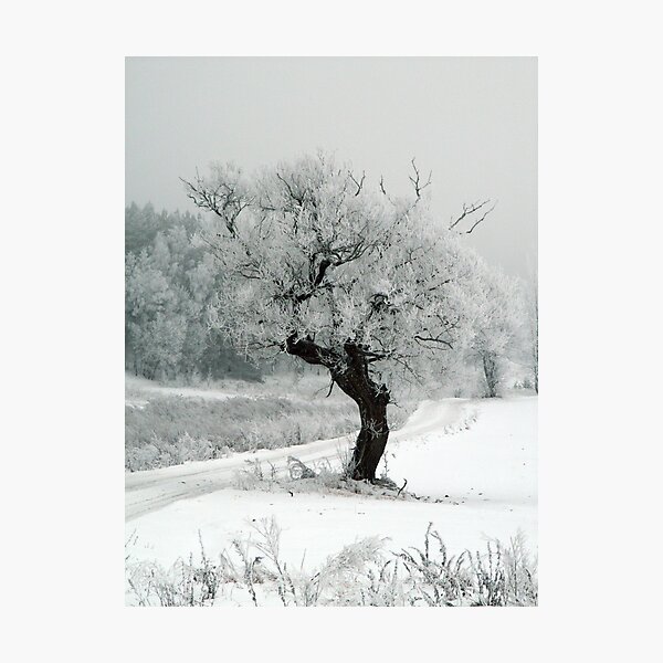 One day Photographic Print