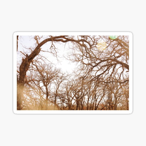 Untitled Sticker