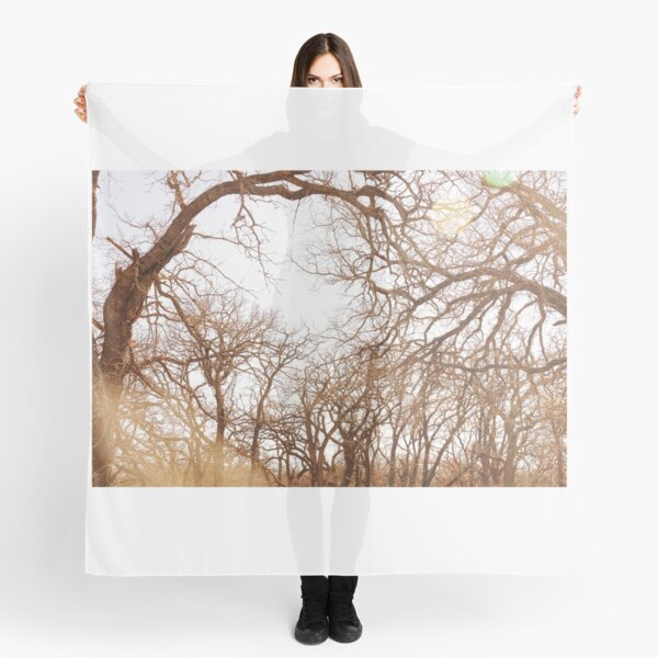 Untitled Scarf