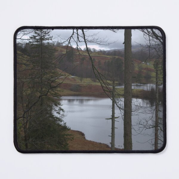 Item preview, Seeing The Wood Through The Trees designed and sold by DiddyH.