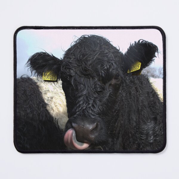 Item preview, Good Moooning designed and sold by DiddyH.