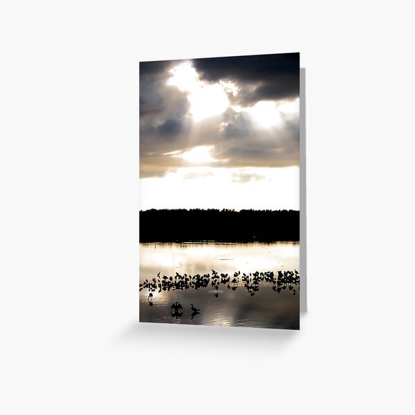 After the storm Greeting Card