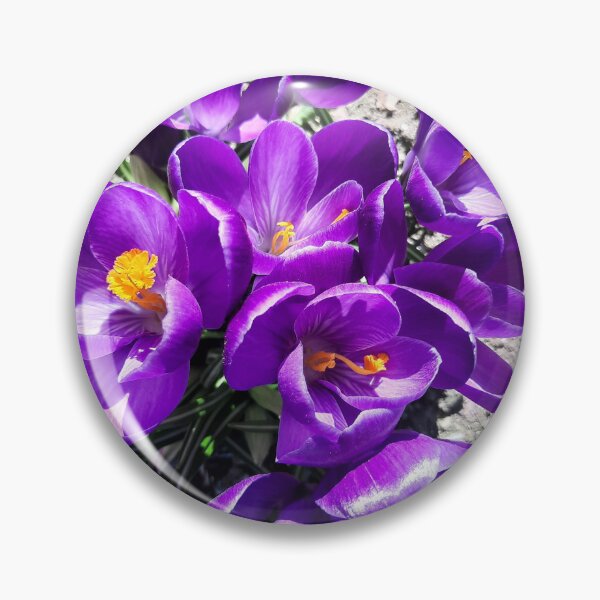 Item preview, violet velvety blossoms designed and sold by barbich.