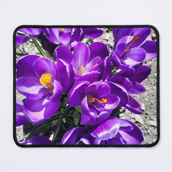 Item preview, violet velvety blossoms designed and sold by barbich.