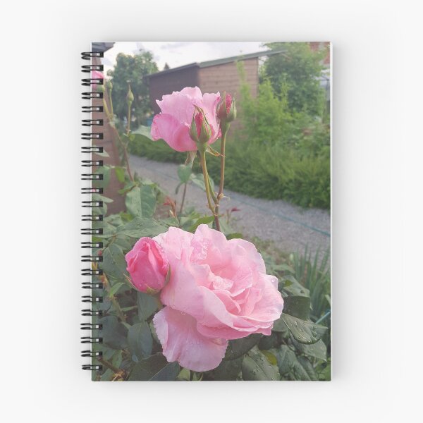 Item preview, rose blossoms designed and sold by barbich.