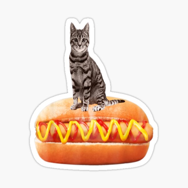 Cat In Hot Dog Merch Gifts for Sale Redbubble