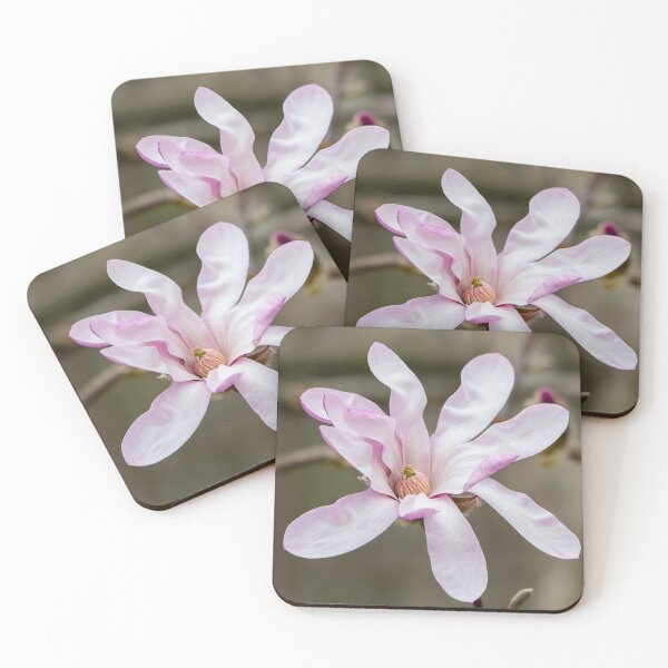Item preview, Pink Magnolia designed and sold by Cathy Donohoue.