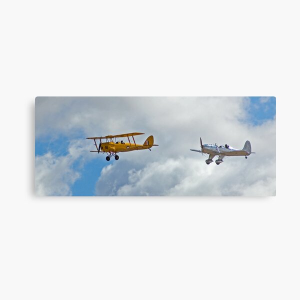 Tiger Moth and Ryan Metal Print