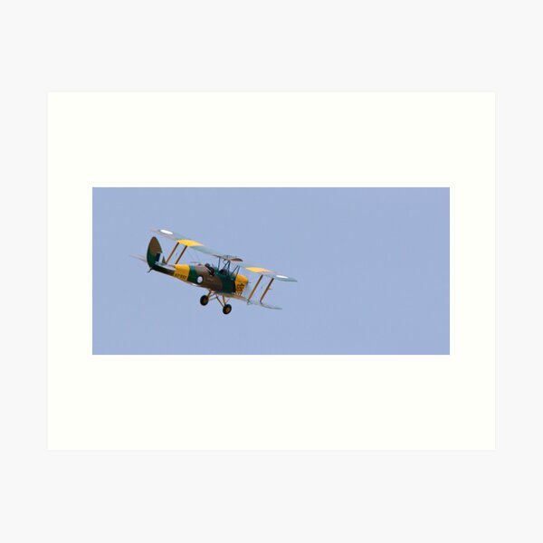 Tiger Moth Art Print