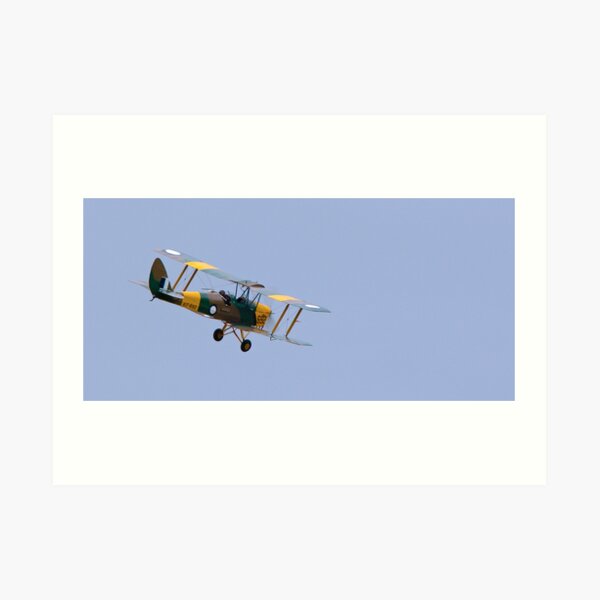Tiger Moth Art Print