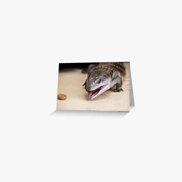 Item preview, Blue tongue lizard 001 designed and sold by kevin Chippindall.