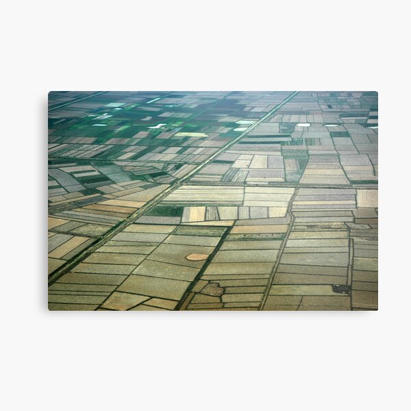 Rice Paddies Metal Print