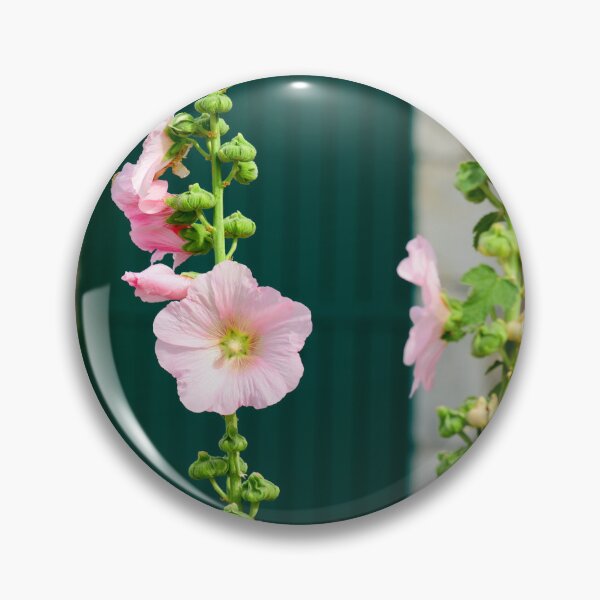 Item preview, Closeup of a Hollyhock designed and sold by FotoMahieu.