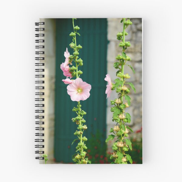 Item preview, Closeup of a Hollyhock designed and sold by FotoMahieu.
