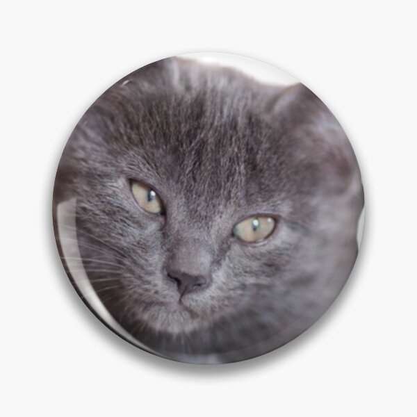Item preview, CUTE TINY GRAY KITTEN #5 designed and sold by giantstep.