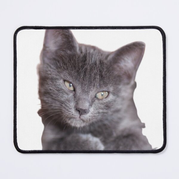 Item preview, CUTE TINY GRAY KITTEN #5 designed and sold by giantstep.