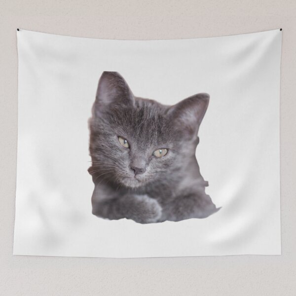 Item preview, CUTE TINY GRAY KITTEN #5 designed and sold by giantstep.