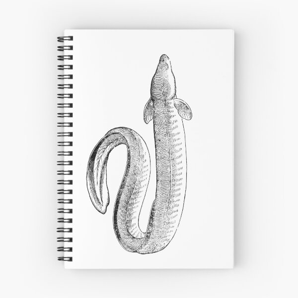 Item preview, FISHES designed and sold by MGRAPHICDESIGN.