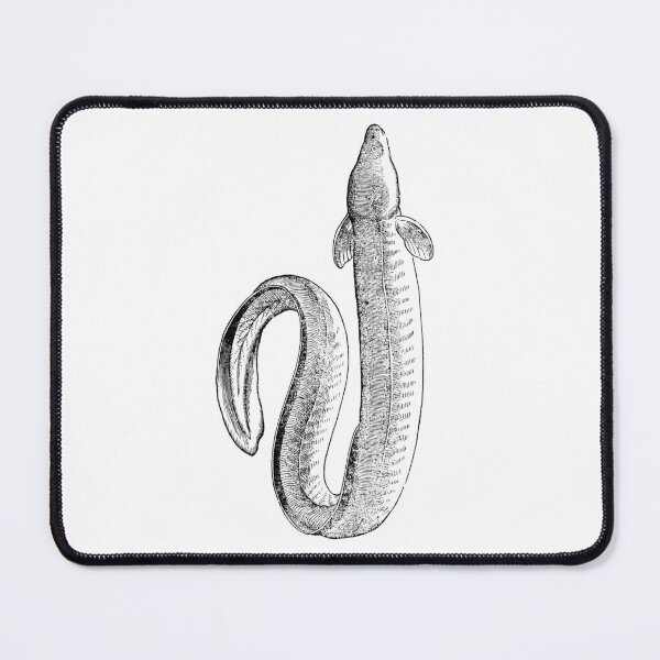 Item preview, FISHES designed and sold by MGRAPHICDESIGN.