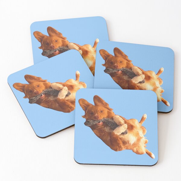 Item preview, Let's play, nsdtr,duck toller, toller lover designed and sold by TollerKing.
