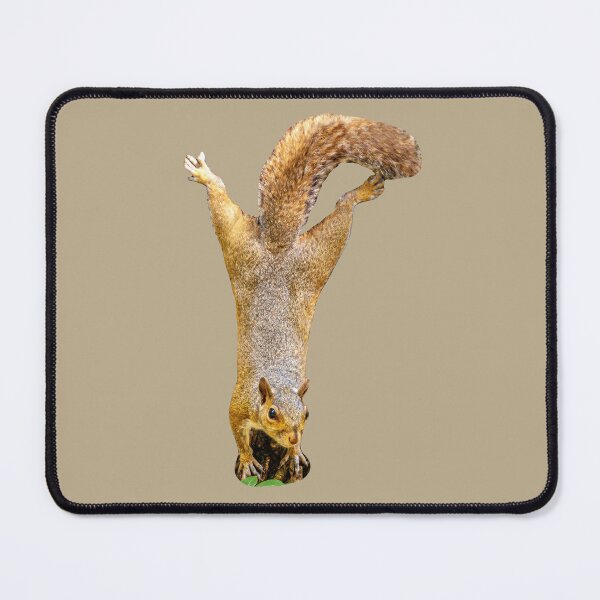 Item preview, Squirrel climbing down a tree looking for nuts designed and sold by Dalyndigital Photography.