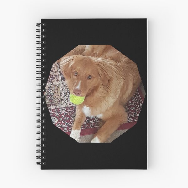 Artikelvorschau, Mein Lieblingsball, Duck Toller, NSDTR, Toller Lover entworfen und verkauft von TollerKing.