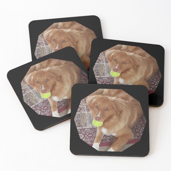 Item preview, My favourite ball, duck toller, nsdtr, toller lover designed and sold by TollerKing.