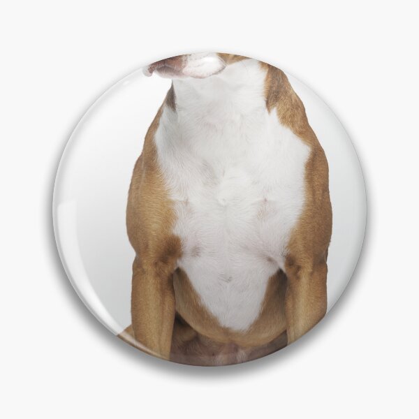 Item preview, Pit Bull  designed and sold by MarcosF9318.