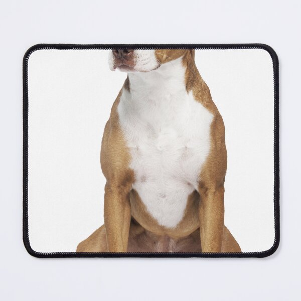 Item preview, Pit Bull designed and sold by MarcosF9318.