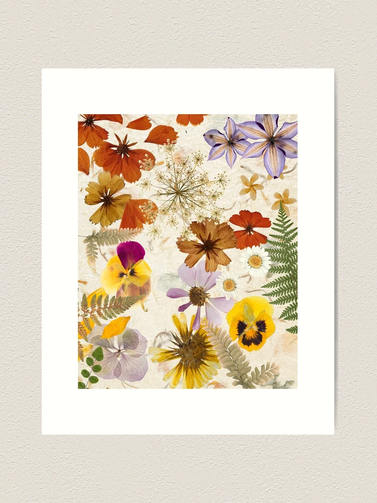 Pretty Dried Wildflowers Colorful Design Art Print for Sale by