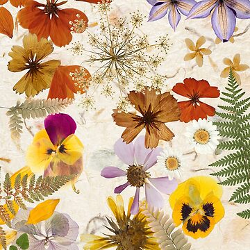 Pressed flowers, dried flowers, wildflowers, floral wall art Art Board  Print for Sale by FantasyShades